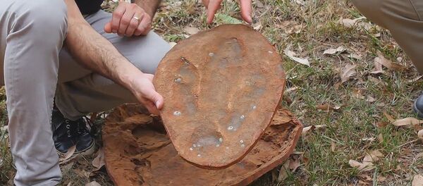 Здесь ходили динозавры - Sputnik Кыргызстан