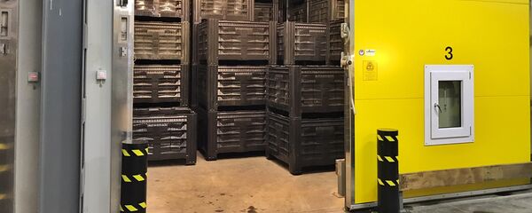 Балыкчы шаарында Оберон ЖЧКсынын жер-жемиш сактаган ири логистикалык борбору ачылды - Sputnik Кыргызстан