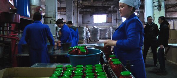 Суткасына 10 тонна томат пастасын чыгарган орнотмо. Чериковдун ойлоп табуулары - Sputnik Кыргызстан