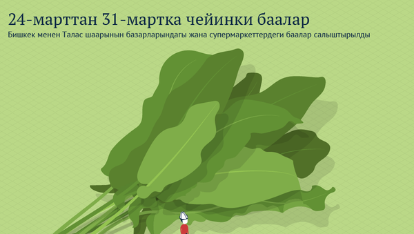 24-марттан 31-мартка чейинки баалар - Sputnik Кыргызстан