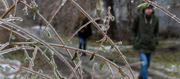 Ледяной дождь. Архивное фото - Sputnik Кыргызстан