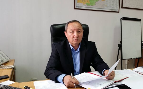 Бывший первый замдиректора ОАО Бердибек Боркоев - Sputnik Кыргызстан