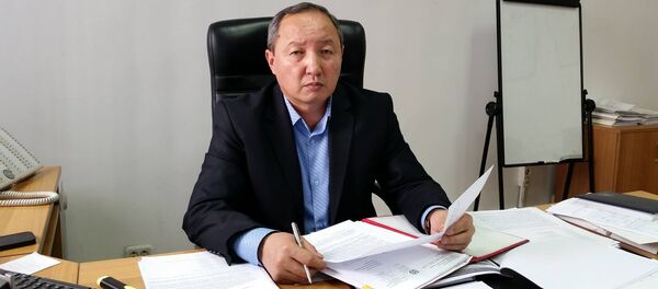 Электр станцияларынын мурдагы жетекчиси Бердибек Боркоев. Архив - Sputnik Кыргызстан