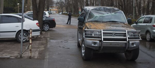 Бишкек шаарында түштөн кийин болгон катуу шамалдан улам дарак кулап, машиналарды басып калды - Sputnik Кыргызстан