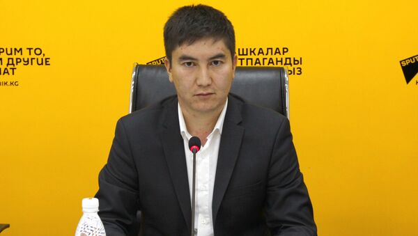 Түндүкэлектр ишканасынын электр энергиясын сатуу бөлүмүнүн башчысы Алмазбек Мадалбеков - Sputnik Кыргызстан