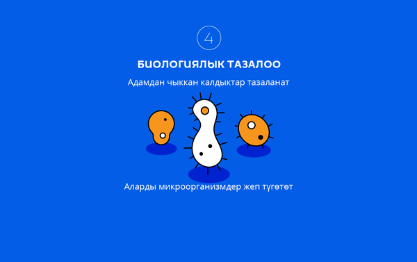 Аларды микроорганизмдер жеп түгөтөт - Sputnik Кыргызстан
