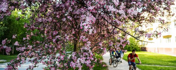 Как и где провести выходные в столице. Афиша с 14 по 16 апреля - Sputnik Кыргызстан