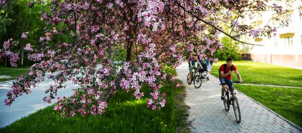 Как и где провести выходные в столице. Афиша с 14 по 16 апреля - Sputnik Кыргызстан