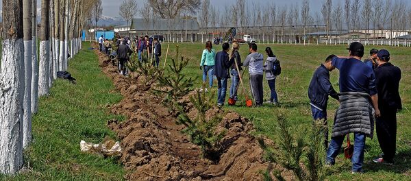 Общегородской субботник в Бишкеке - Sputnik Кыргызстан