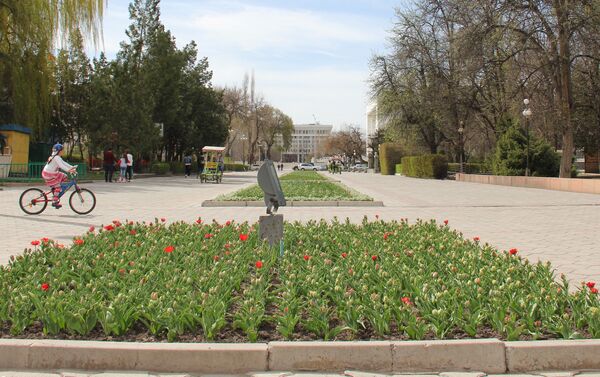 Специалисты Зеленстроя отмечают, что тюльпаны традиционно начинают цвести во второй декаде апреля. - Sputnik Кыргызстан
