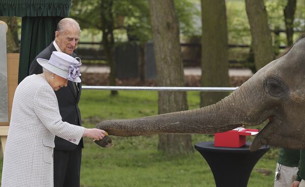 Визит королевы Великобритании Елизавета II и герцога Эдинбургского в Уипснейдский зоопарк - Sputnik Кыргызстан