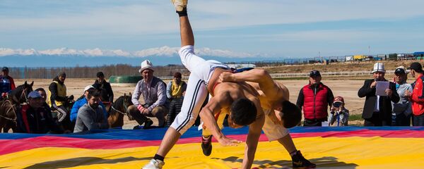 Конноспортивные состязания на ипподроме в Чолпон-Ате Конноспортивные состязания на ипподроме в Чолпон-Ате - Sputnik Кыргызстан