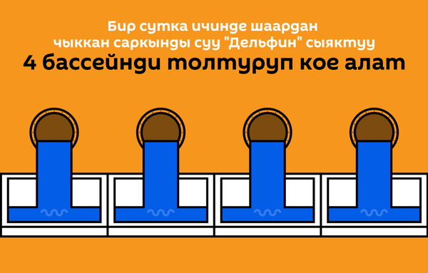 Бишкектин саркынды суулары Дельфин бассейнин 6 саатта толтура алат - Sputnik Кыргызстан