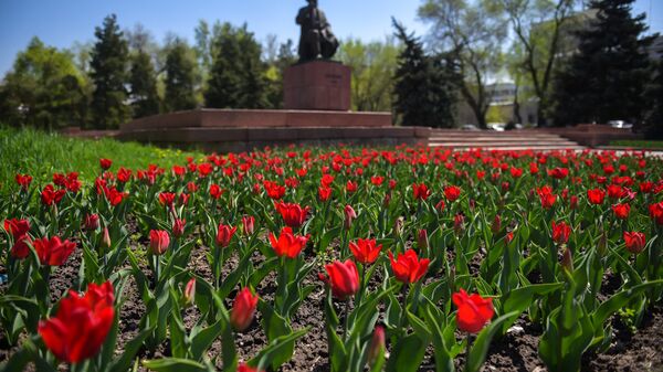 Распустившиеся тюльпаны в центре Бишкека. Архивное фото - Sputnik Кыргызстан