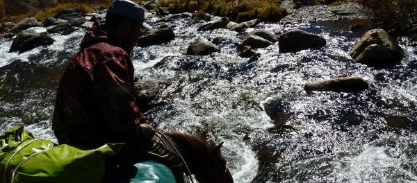 Осень в Горном Алтае Осень в Горном Алтае - Sputnik Кыргызстан