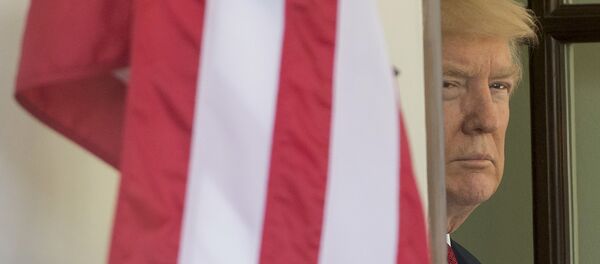 АКШнын президенти Дональд Трамптын архивдик сүрөтү - Sputnik Кыргызстан