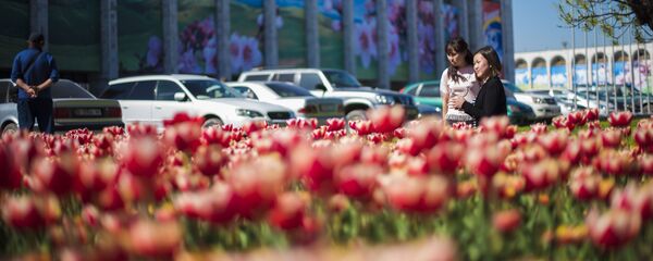 Ала-Тоо аянтындагы шаар тургундары. Архив Ала-Тоо аянтындагы шаар тургундары. Архив - Sputnik Кыргызстан