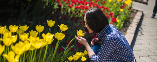 Девушка у тюльпанов в Бишкеке. Архивное фото - Sputnik Кыргызстан