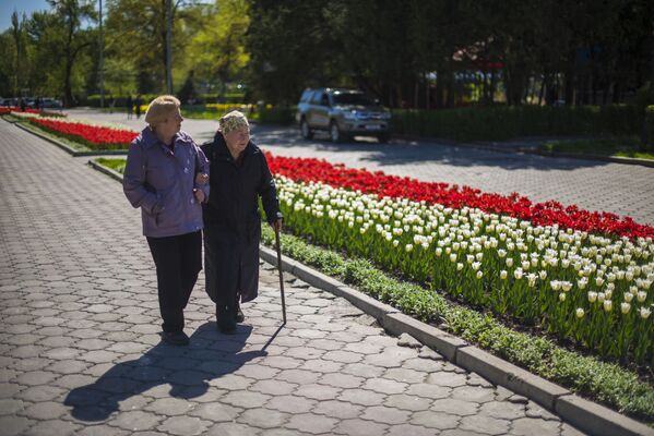 Цветение тюльпанов в Бишкеке - Sputnik Кыргызстан