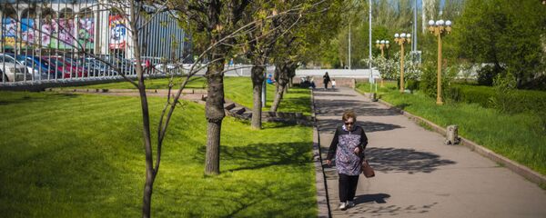 Цветение тюльпанов в Бишкеке - Sputnik Кыргызстан