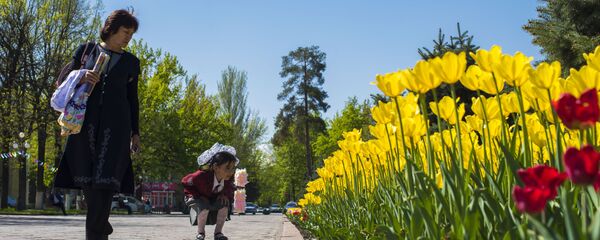 Цветение тюльпанов в Бишкеке - Sputnik Кыргызстан