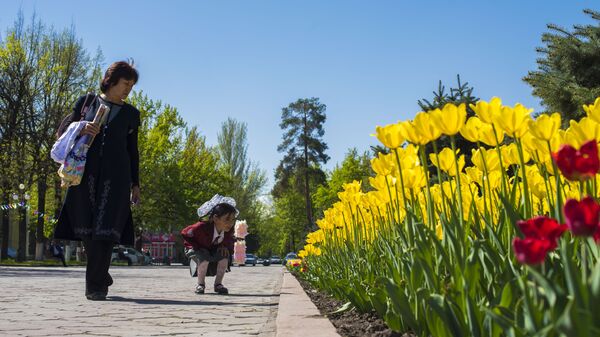 Цветение тюльпанов в Бишкеке. Архивное фото - Sputnik Кыргызстан