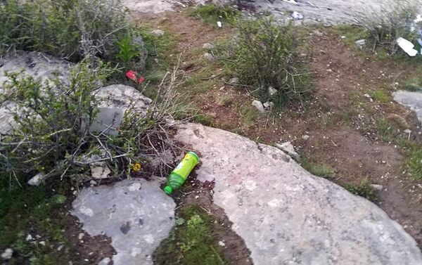 На кадрах, снятых в прошлый четверг, 20 апреля, видно, что рядом с растением валяются пакеты и пластиковые бутылки. - Sputnik Кыргызстан
