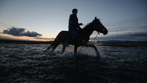 Чабан на лошади переходит реку. Архивное фото - Sputnik Кыргызстан