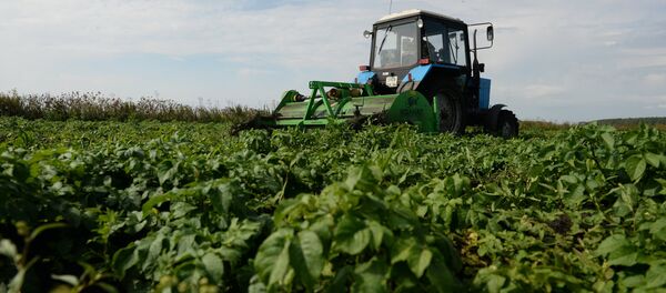 Сбор урожая в Свердловской области Сбор урожая в Свердловской области - Sputnik Кыргызстан