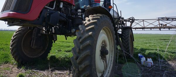 Весенне-полевые работы в Ростовской области - Sputnik Кыргызстан