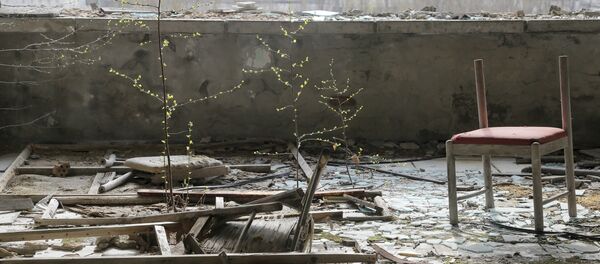 Город Припять, зона отчуждения Чернобыльской АЭС - Sputnik Кыргызстан