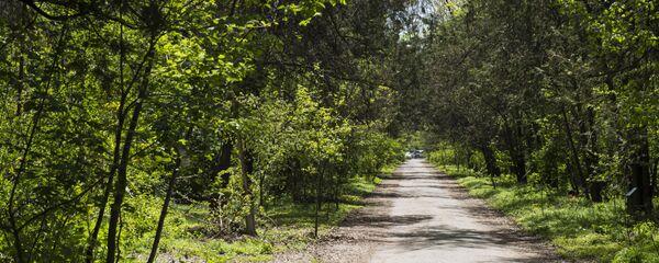 Ботанический сад на улице Горького в Бишкеке - Sputnik Кыргызстан