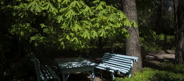 Ботанический сад на улице Горького в Бишкеке - Sputnik Кыргызстан