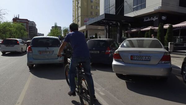 Если чувствуешь себя бесполезным, посмотри на велодорожку в Бишкеке - Sputnik Кыргызстан