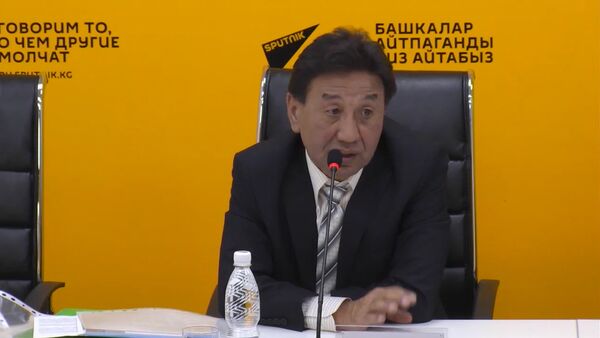 Закрыв Дыйкан, мэрия потеряет крупнейший оптовый рынок — Ташибаев - Sputnik Кыргызстан