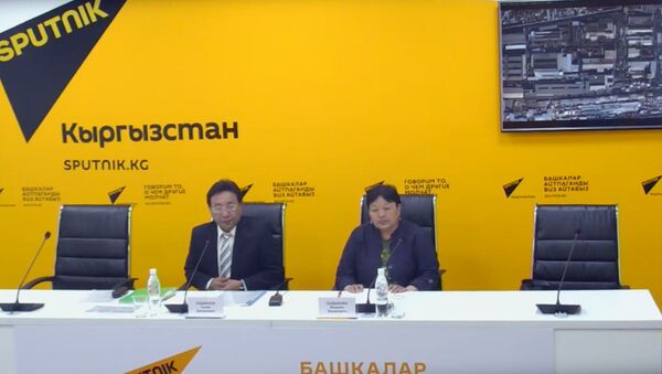 О ситуации вокруг закрытияДыйкана рассказали в пресс-центре Sputnik Кыргызстан - Sputnik Кыргызстан