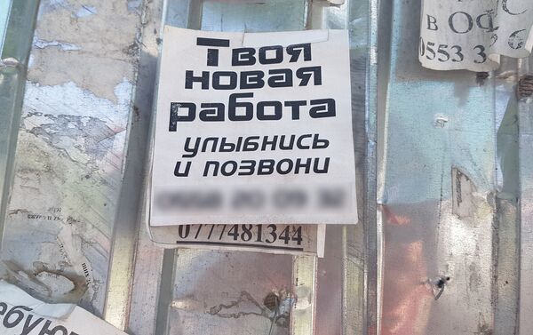 Объявления, которые можно найти почти на каждом столбе или остановке в Бишкеке - Sputnik Кыргызстан