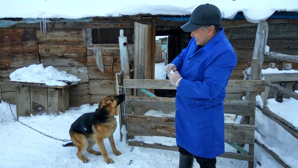 Ветеринар из села Жыргалан Шаршен Курманов. Архивное фото - Sputnik Кыргызстан