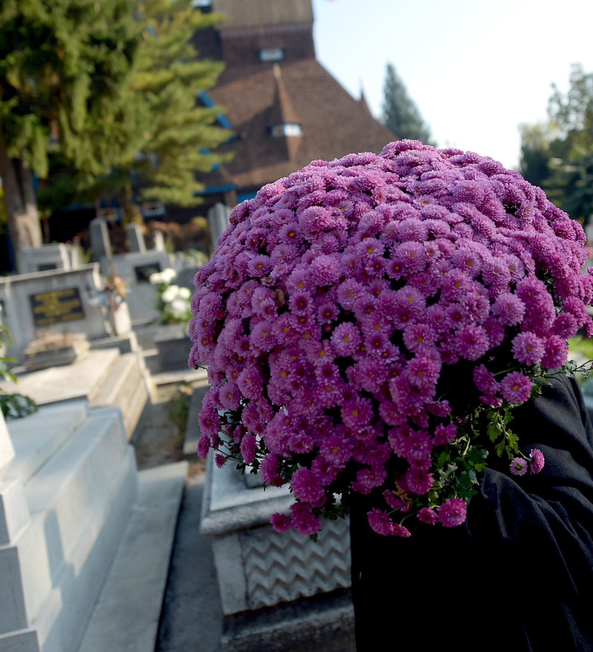 Цветы на кладбище фото живые цветы