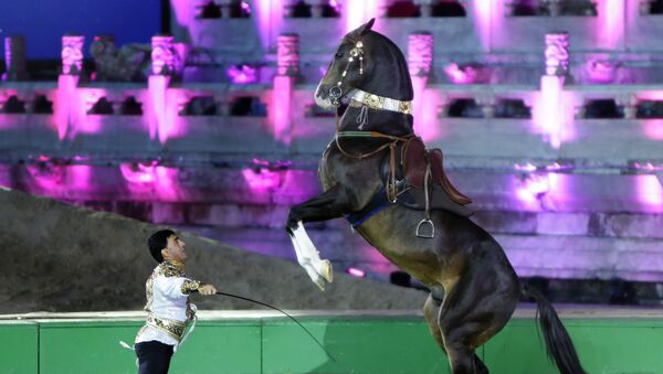 Международная специализированная конференция Ассоциации ахалтекинских лошадей в Пекине - Sputnik Кыргызстан