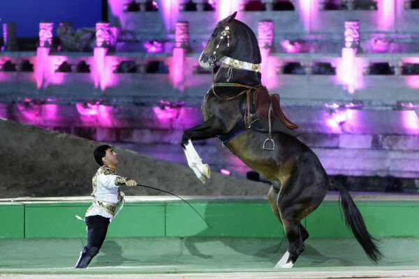 Международная специализированная конференция Ассоциации ахалтекинских лошадей в Пекине - Sputnik Кыргызстан