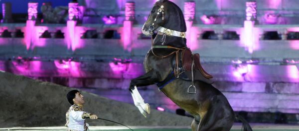 Международная специализированная конференция Ассоциации ахалтекинских лошадей в Пекине - Sputnik Кыргызстан