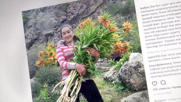 Снимок с социальной сети Instagram пользователя batken_live. Девушка с краснокнижными цветками айгуль - Sputnik Кыргызстан