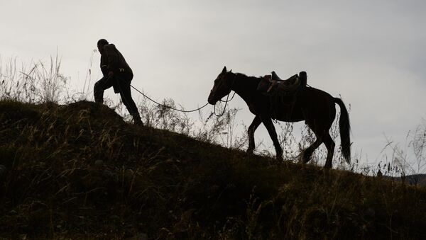 Человек ведущий лошадь в гору. Архивное фото - Sputnik Кыргызстан