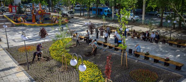 По случаю 25-летия установления дипломатических отношений между Кыргызстаном и Японией на фонтанном комплексе Сказка посадили сакуры - Sputnik Кыргызстан