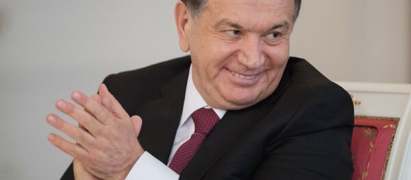 Президент РФ В. Путин встретился с президентом Узбекистана Ш. Мирзиеевым - Sputnik Кыргызстан