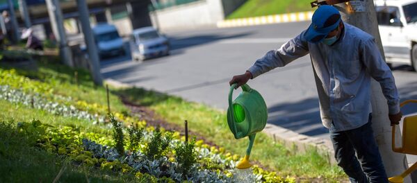 Посадка однолетних цветов в Бишкеке - Sputnik Кыргызстан