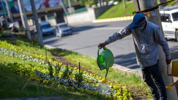 Посадка однолетних цветов в Бишкеке - Sputnik Кыргызстан