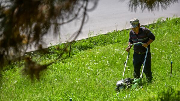 Посадка однолетних цветов в Бишкеке - Sputnik Кыргызстан