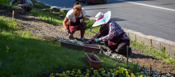 Посадка однолетних цветов в Бишкеке - Sputnik Кыргызстан